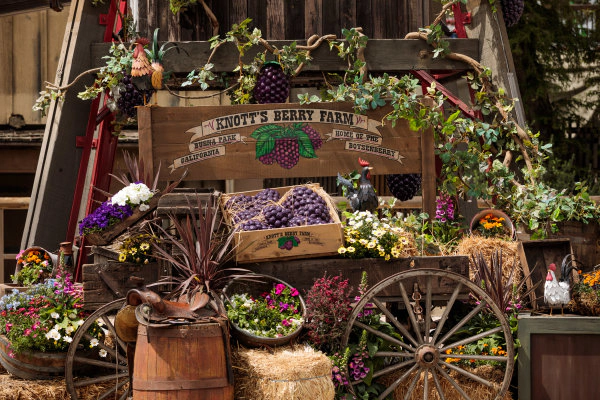 Enter To Win Tickets To Knott's Boysenberry Festival 2026