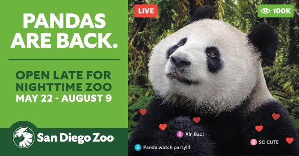 Enter To Win Tix To The San Diego Zoo For Nighttime Zoo