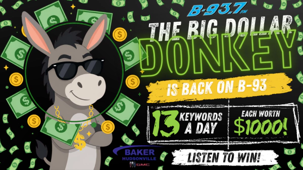 $1,000 BIG DOLLAR DONKEY
