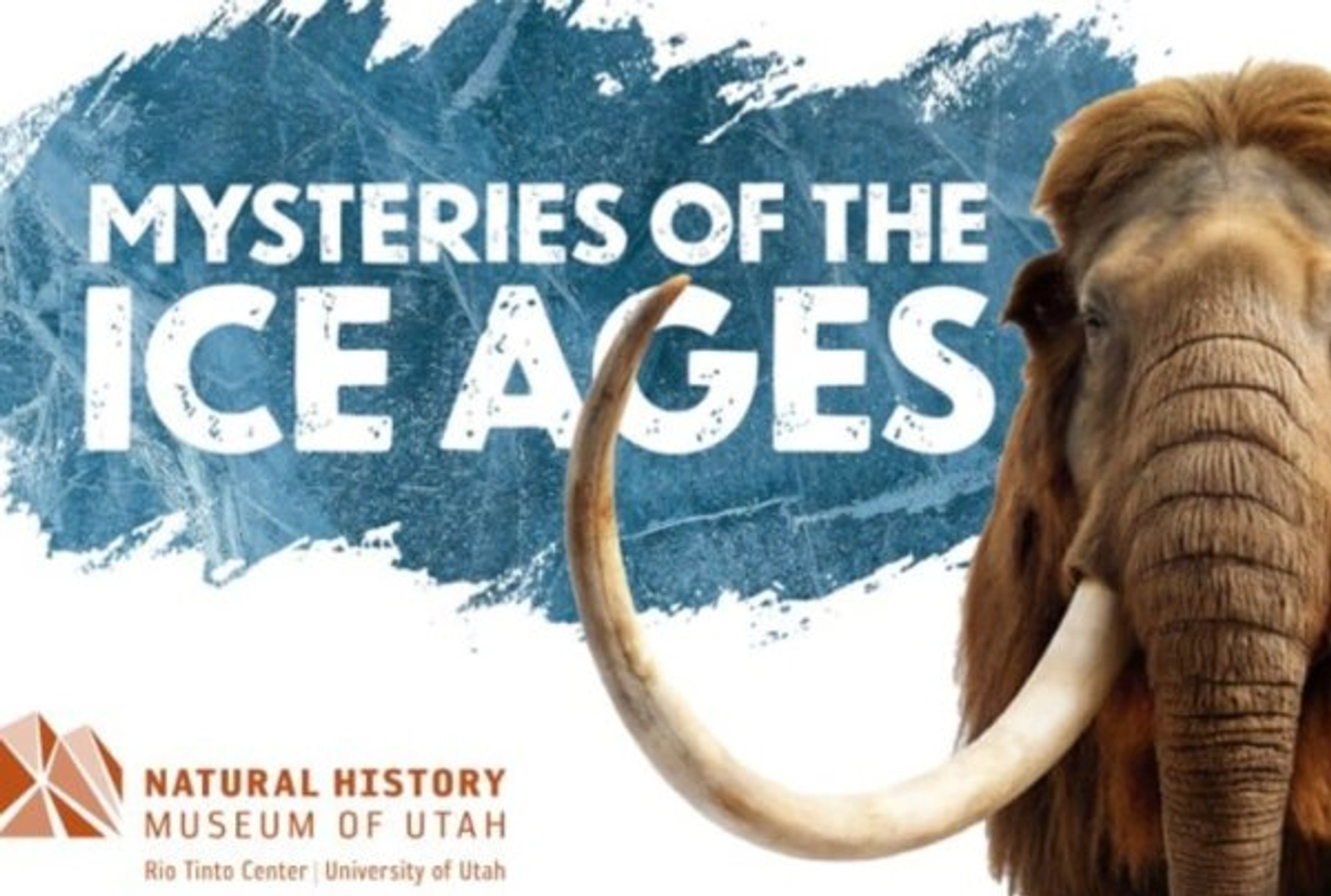 Enter For A Chance To Win A 5-pack Of Tickets To The Natural History Museum Of Utah
