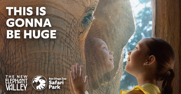 Enter to Win a 4 Pack of Tickets to the San Diego Zoo Safari Park!