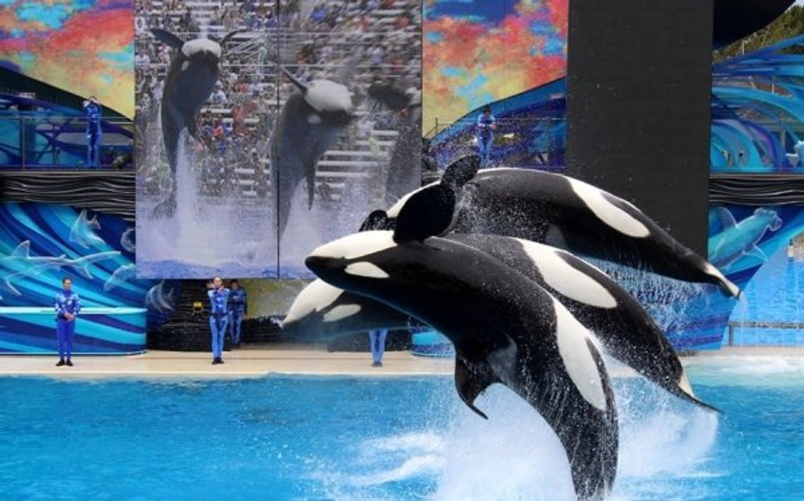 Enter to Win Tickets to SeaWorld!