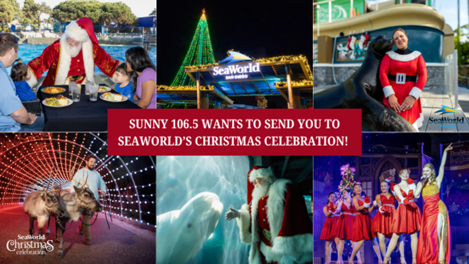 Sunny 106.5 wants to send you to SeaWorld's Christmas Celebration!