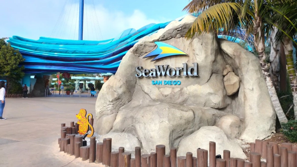 Enter to Win Tickets to SeaWorld San Diego!