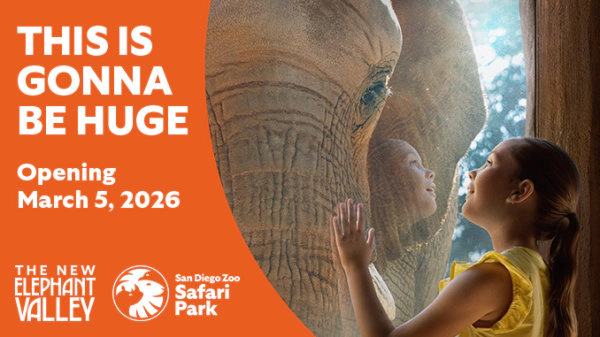 Enter to Win Tickets to San Diego Zoo!