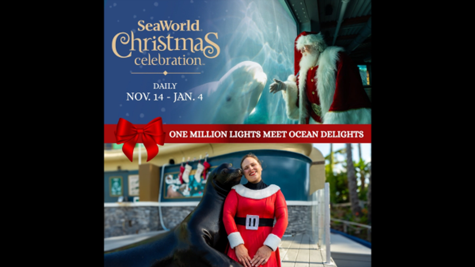 Win Tickets to SeaWorld® San Diego Christmas Celebration!