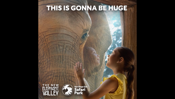 Win Tickets to The San Diego Zoo Safari Park