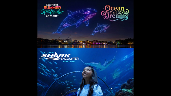 Win Tickets to SeaWorld San Diego