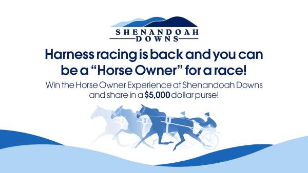 Harness racing is back and you can be a “Horse Owner” for a race!