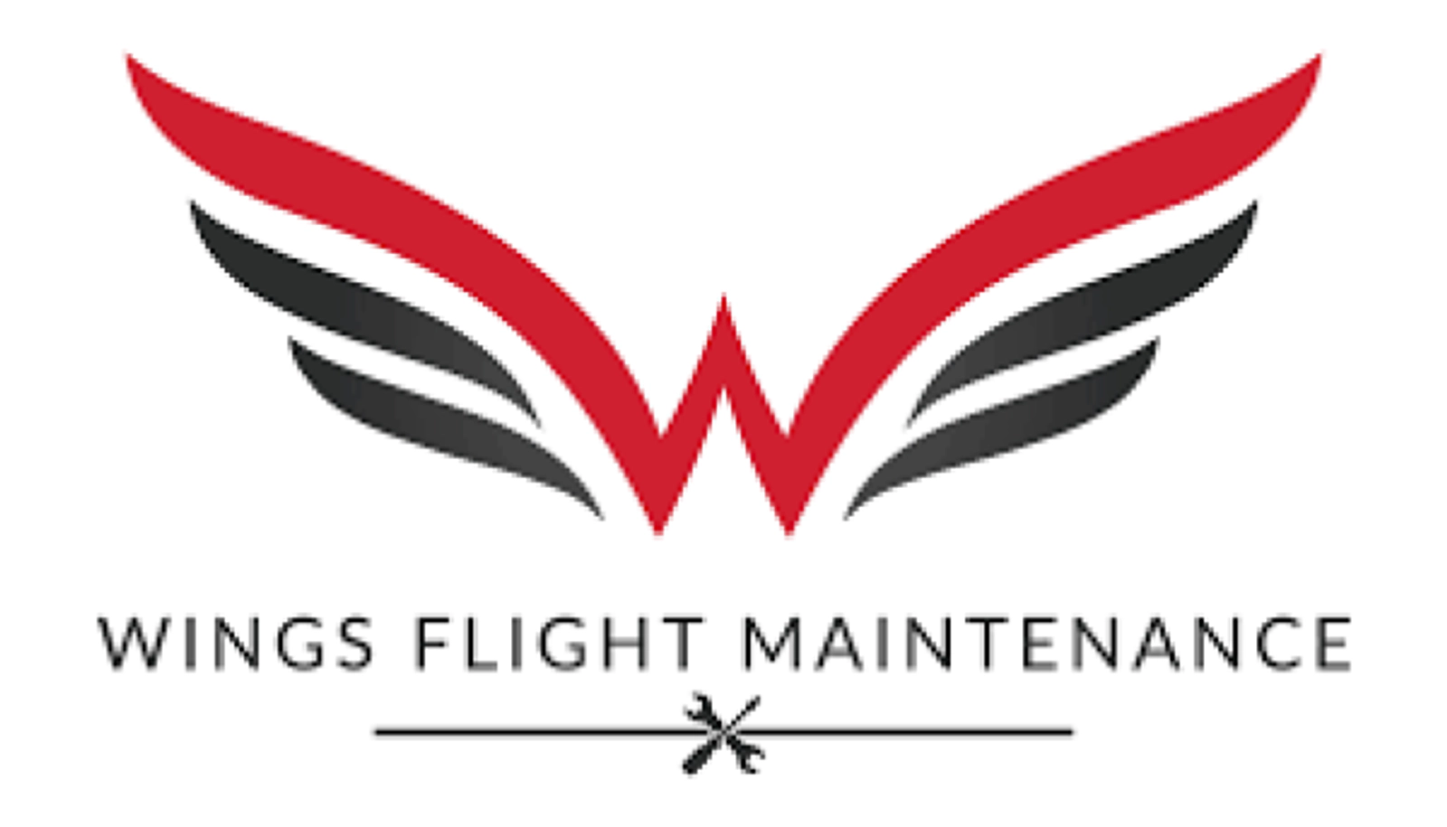 Win a discovery flight from Wings Flight Training!