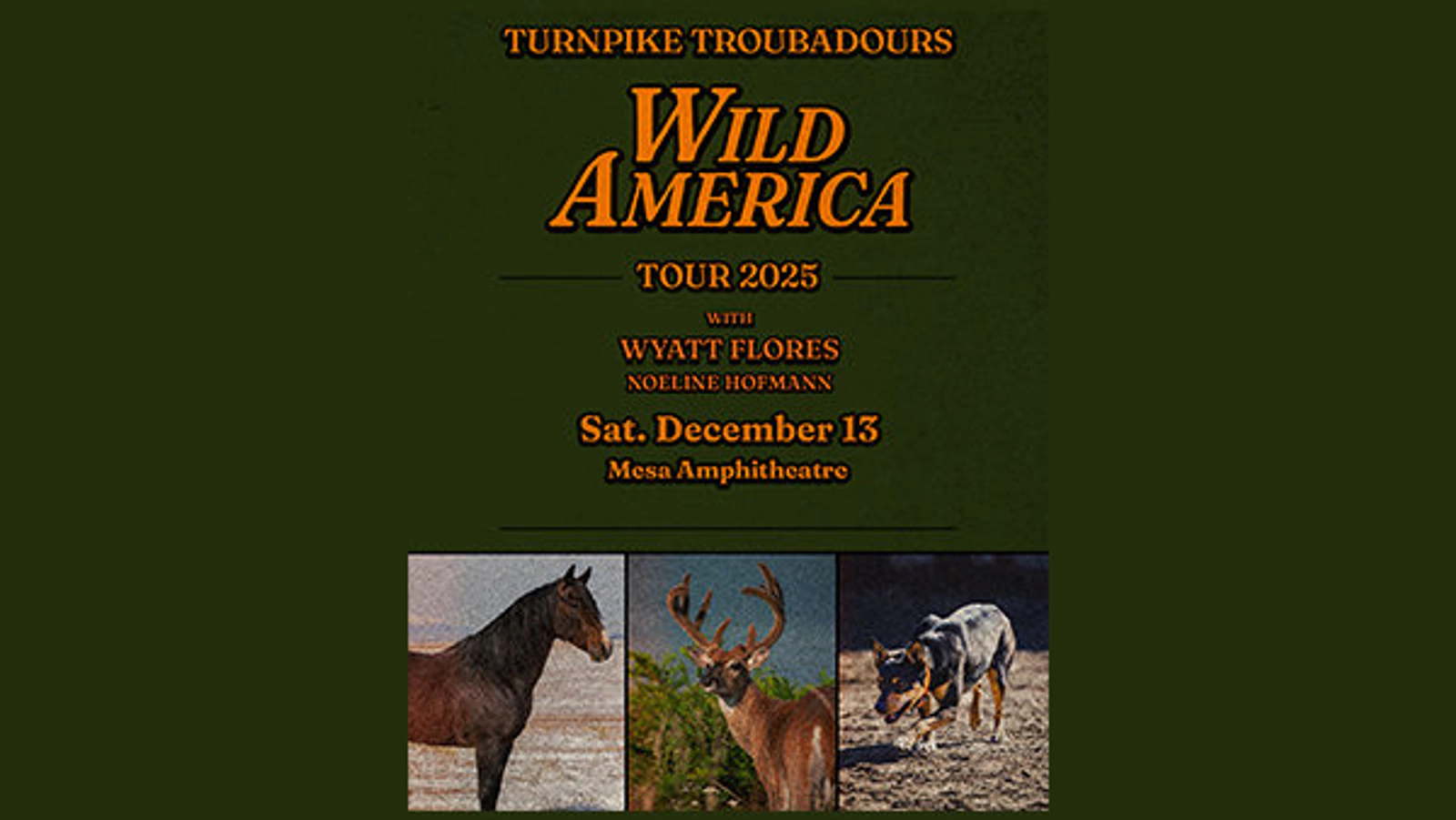 Win Turnpike Troubadours tickets