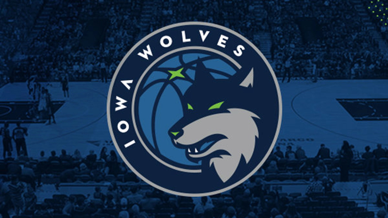  Sit Courtside at the Iowa Wolves with the Seantourage!  - Thumbnail Image