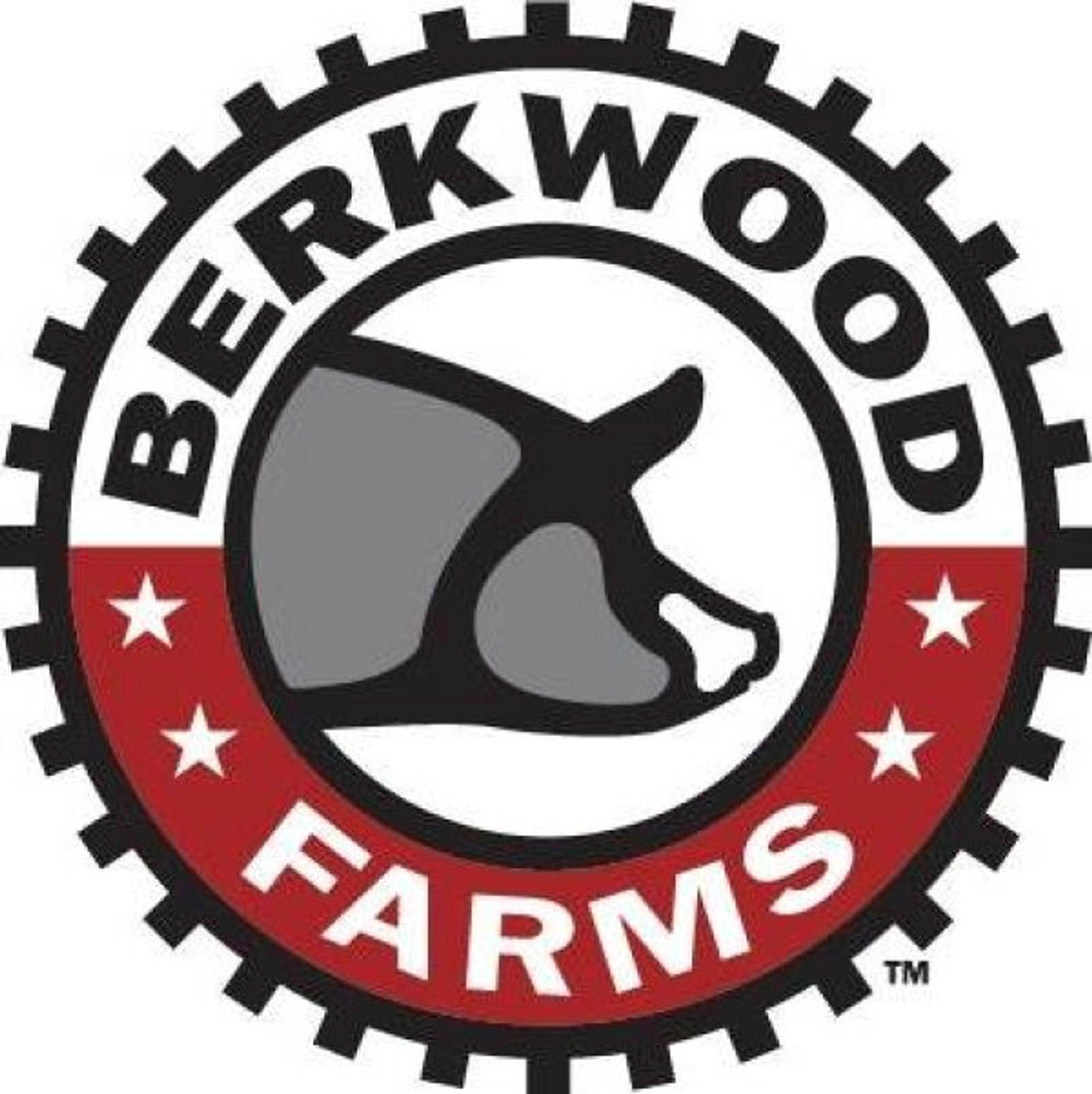 Play Berkwood Bullseye with KXnO! - Thumbnail Image
