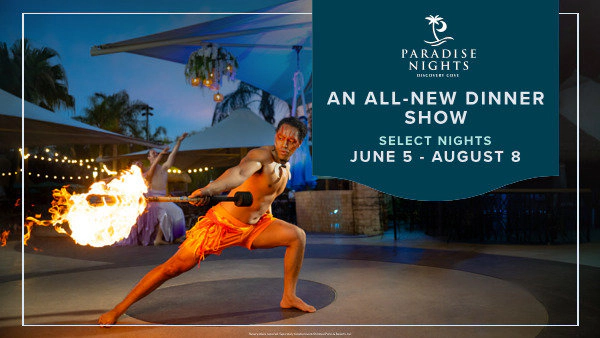 Paradise Nights at Discovery Cove