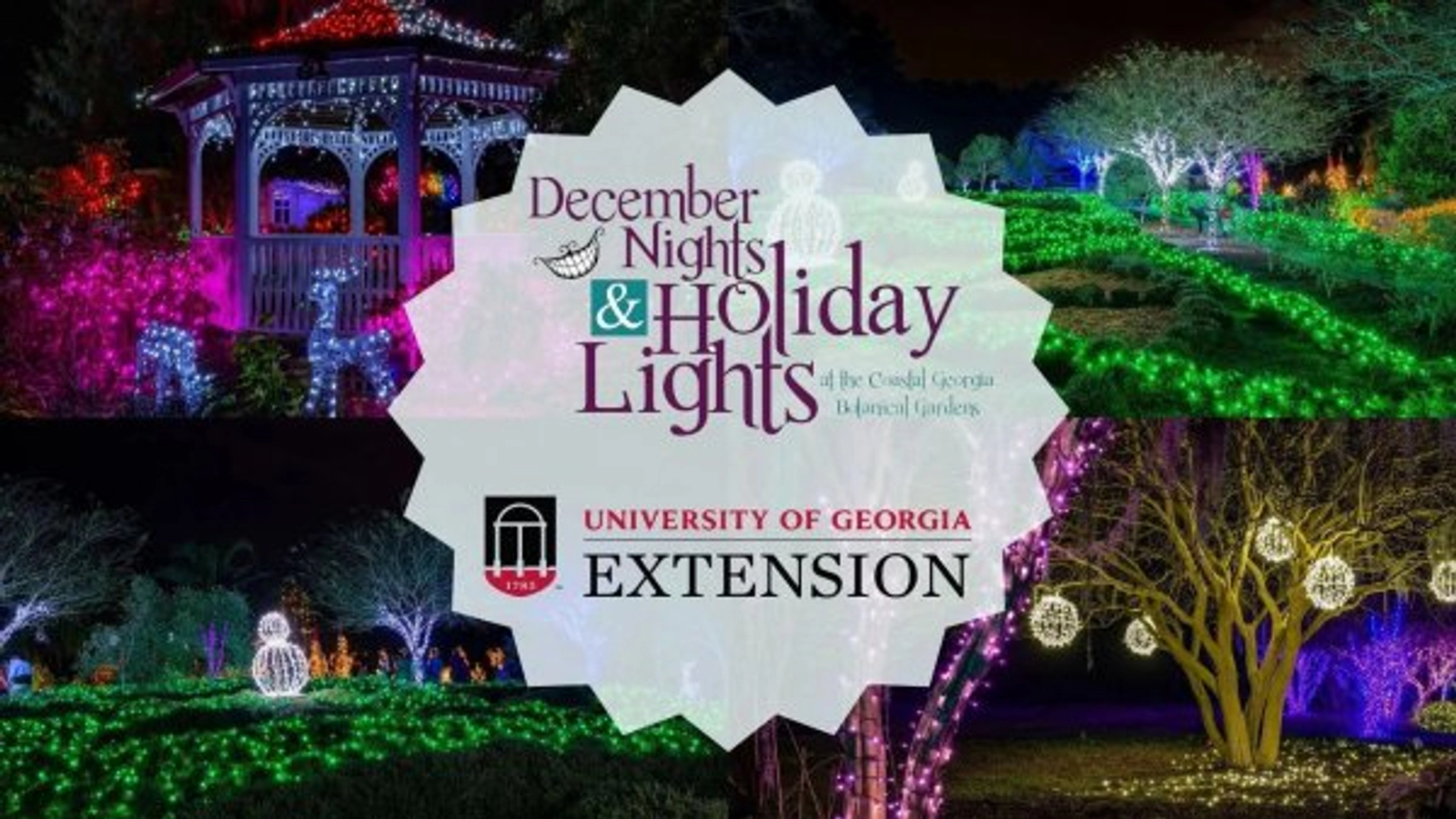 December Nights & Holiday Lights Winning Weekend 2