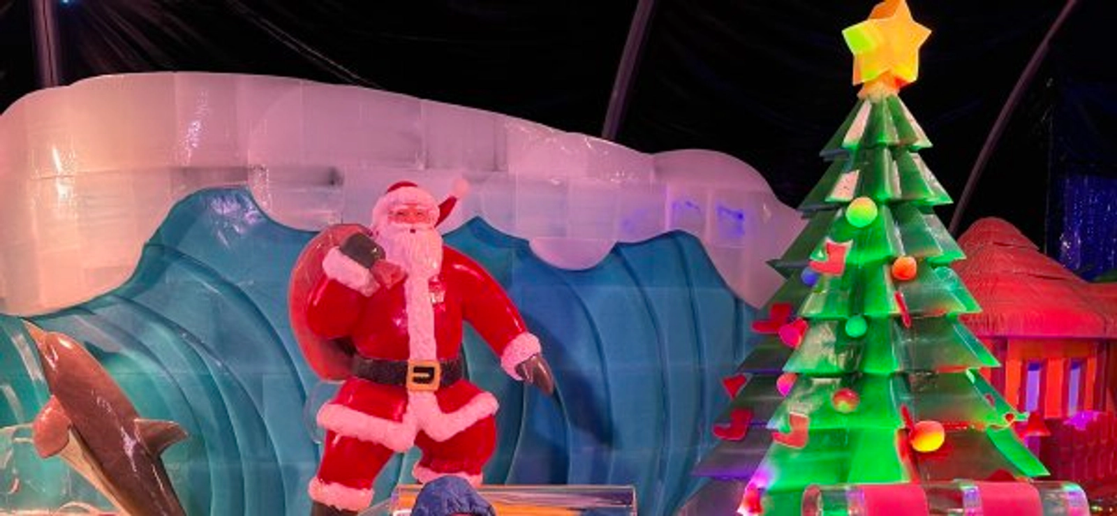 Win Moody Gardens Getaway Winter 2025