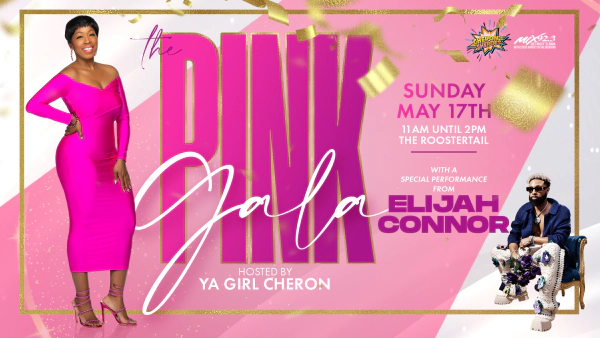 Mix 92.3's Survivor Spotlight at the Pink Gala