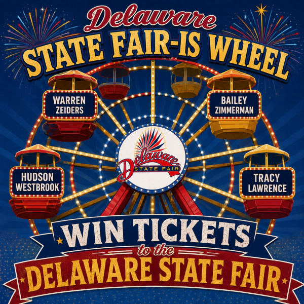 Delaware State FAIR-IS Wheel
