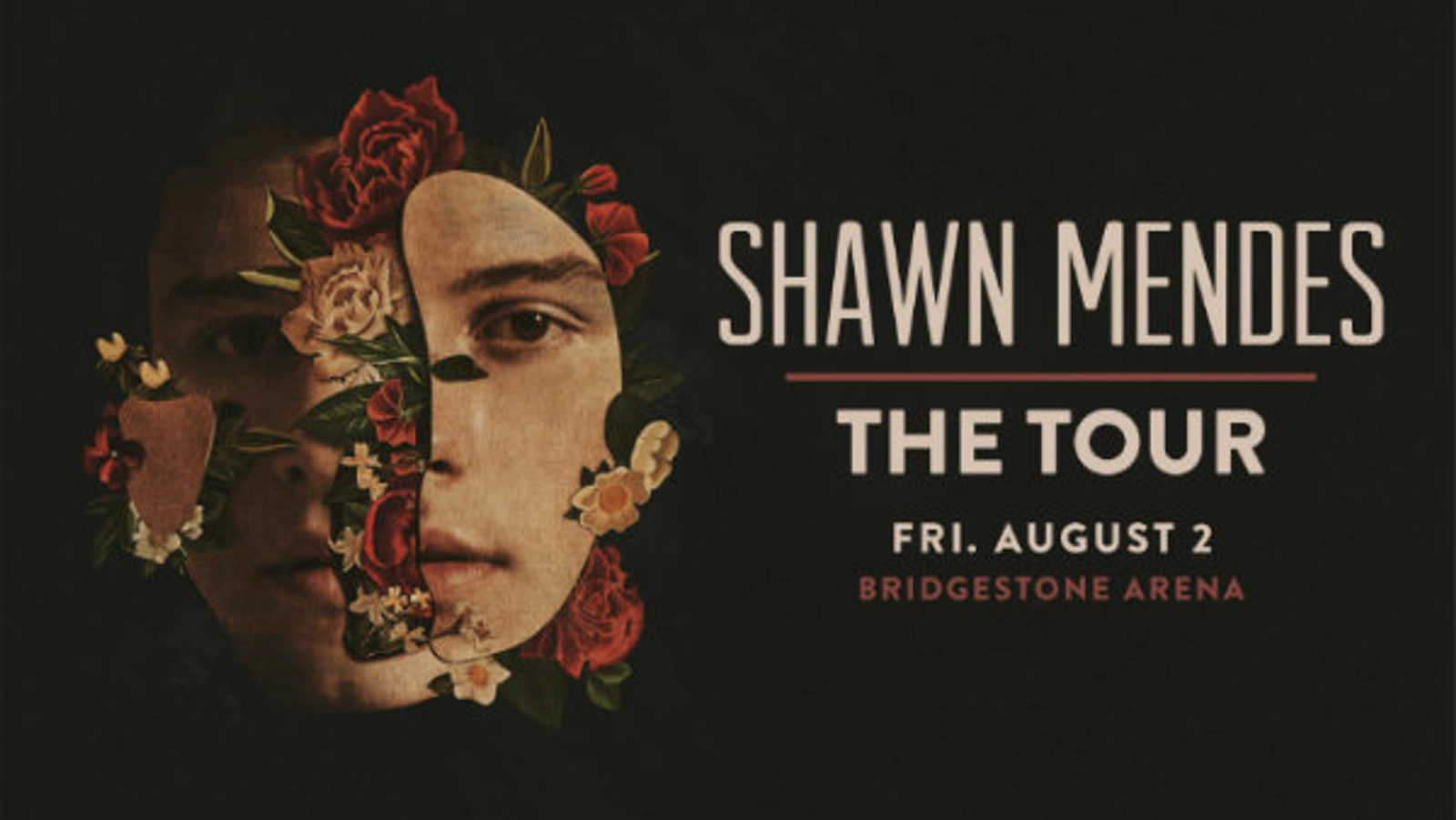 Shawn Mendes - Thumbnail Image