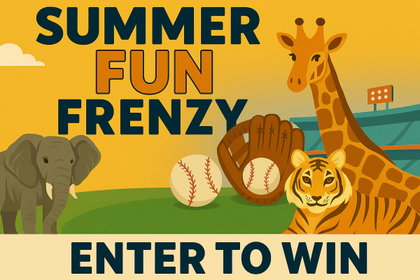 Summer Fun Frenzy Contest