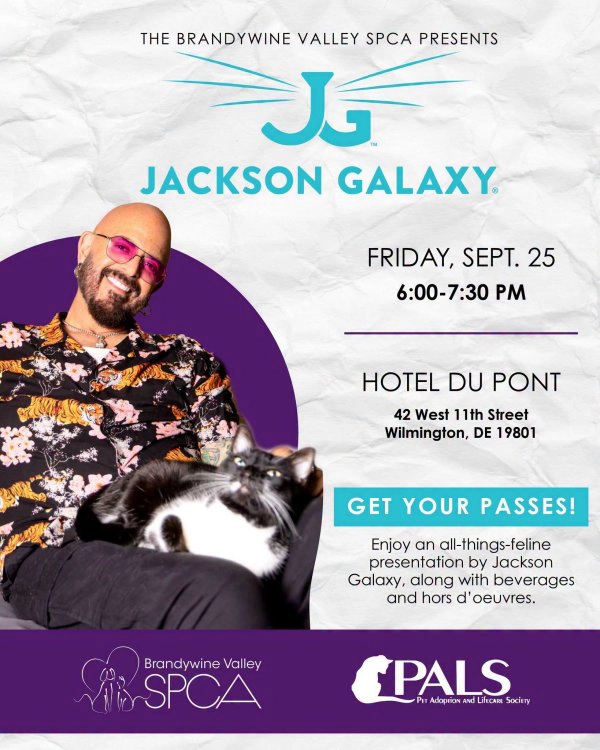 Win Jackson Galaxy Tickets