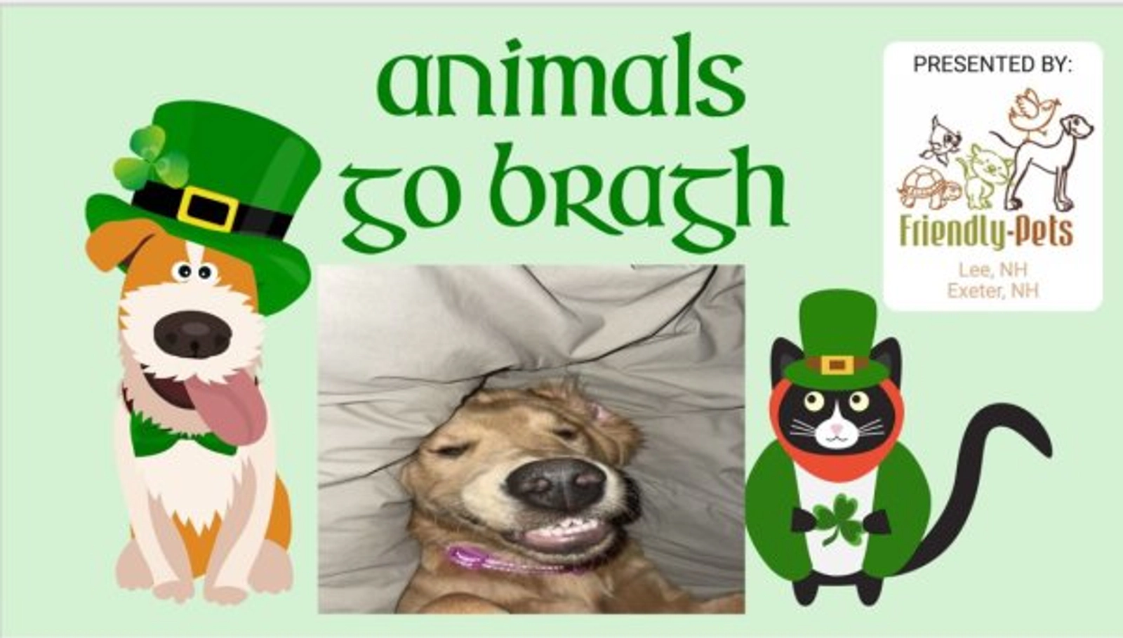 Animals Go Bragh! - Thumbnail Image