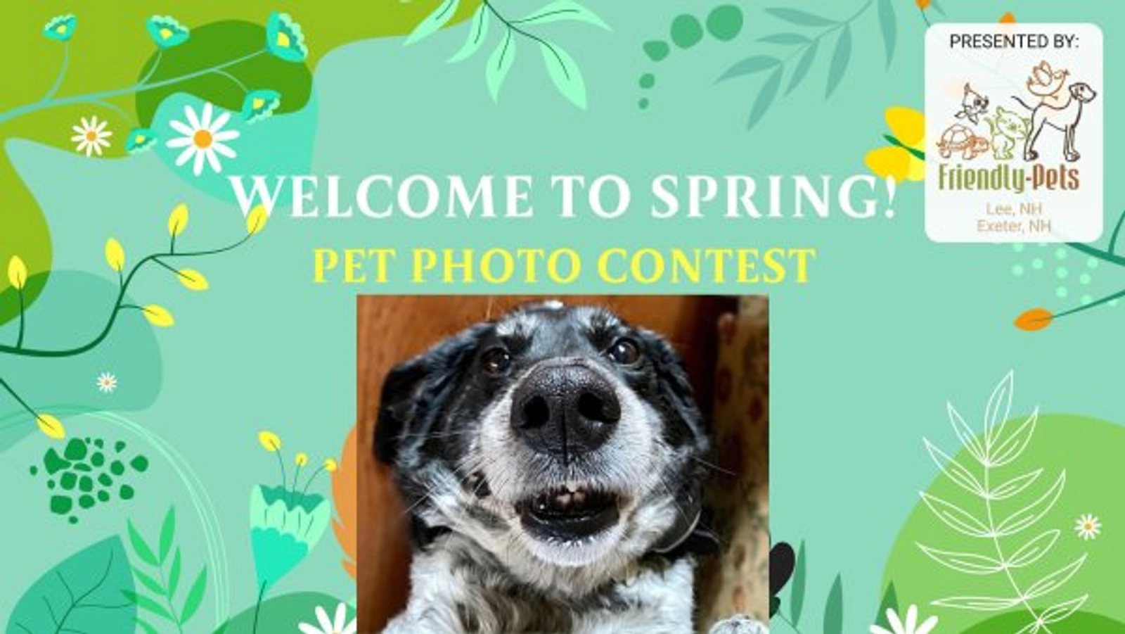 Welcome to Spring Pet Photo Contest - Thumbnail Image