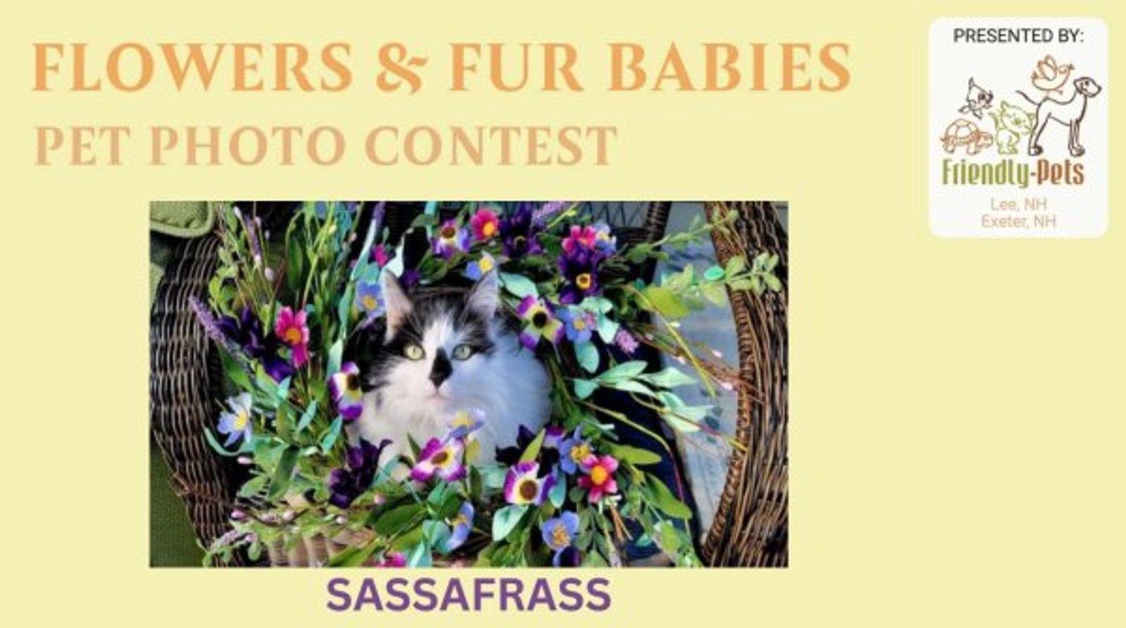 Flowers And Fur Babies Pet Photo Contest - Thumbnail Image