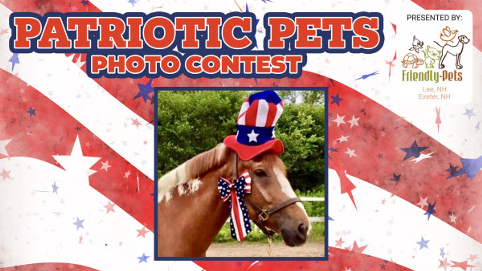 Patriotic Pets Photo Contest - Thumbnail Image