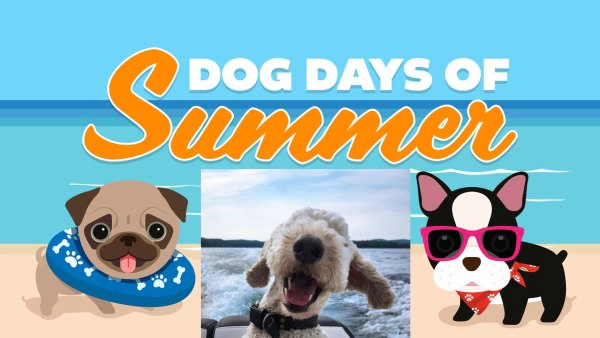 Dog Days of Summer Photo Contest - Thumbnail Image