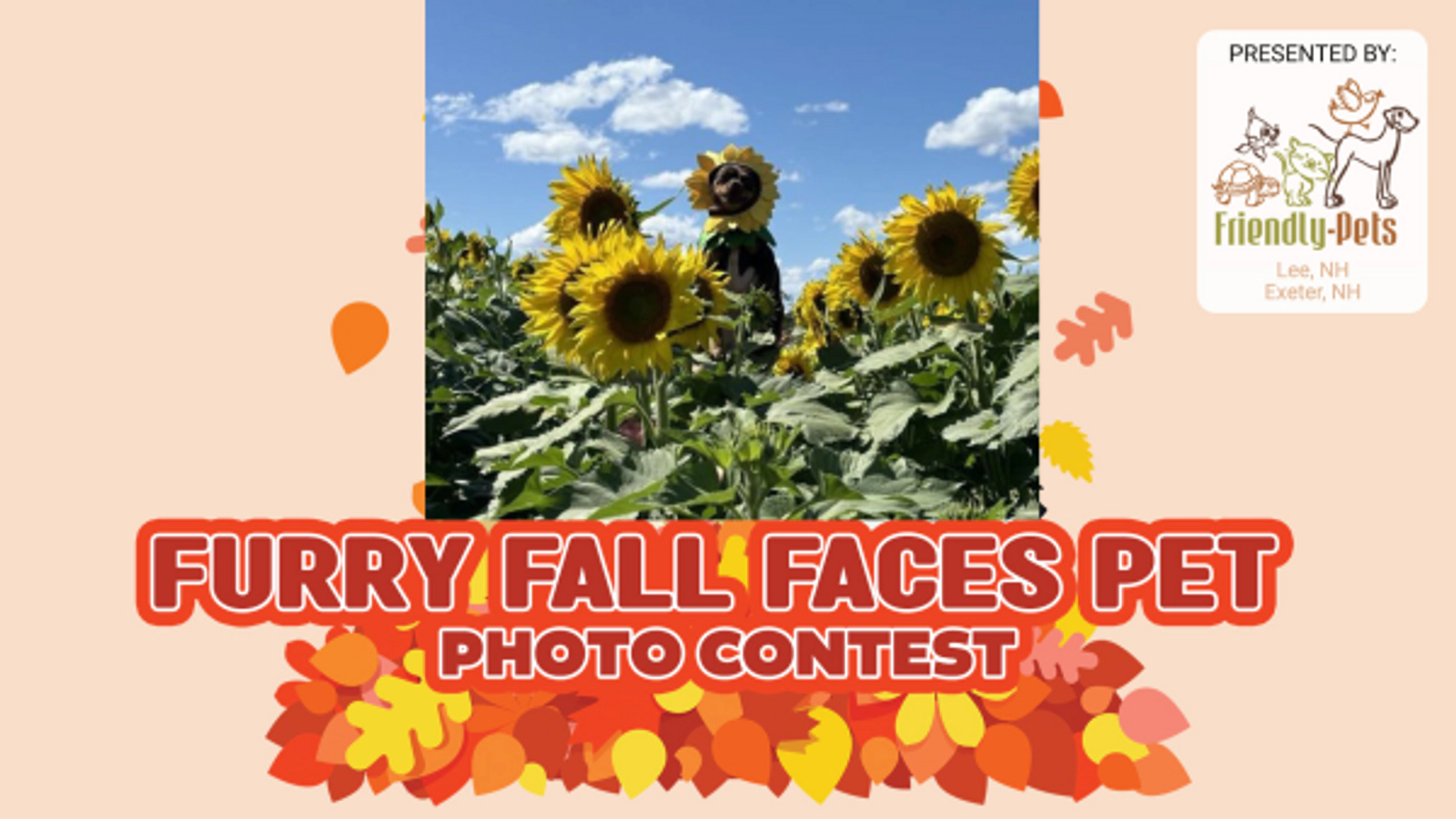 Furry Fall Faces Pet Photo Contest - Thumbnail Image