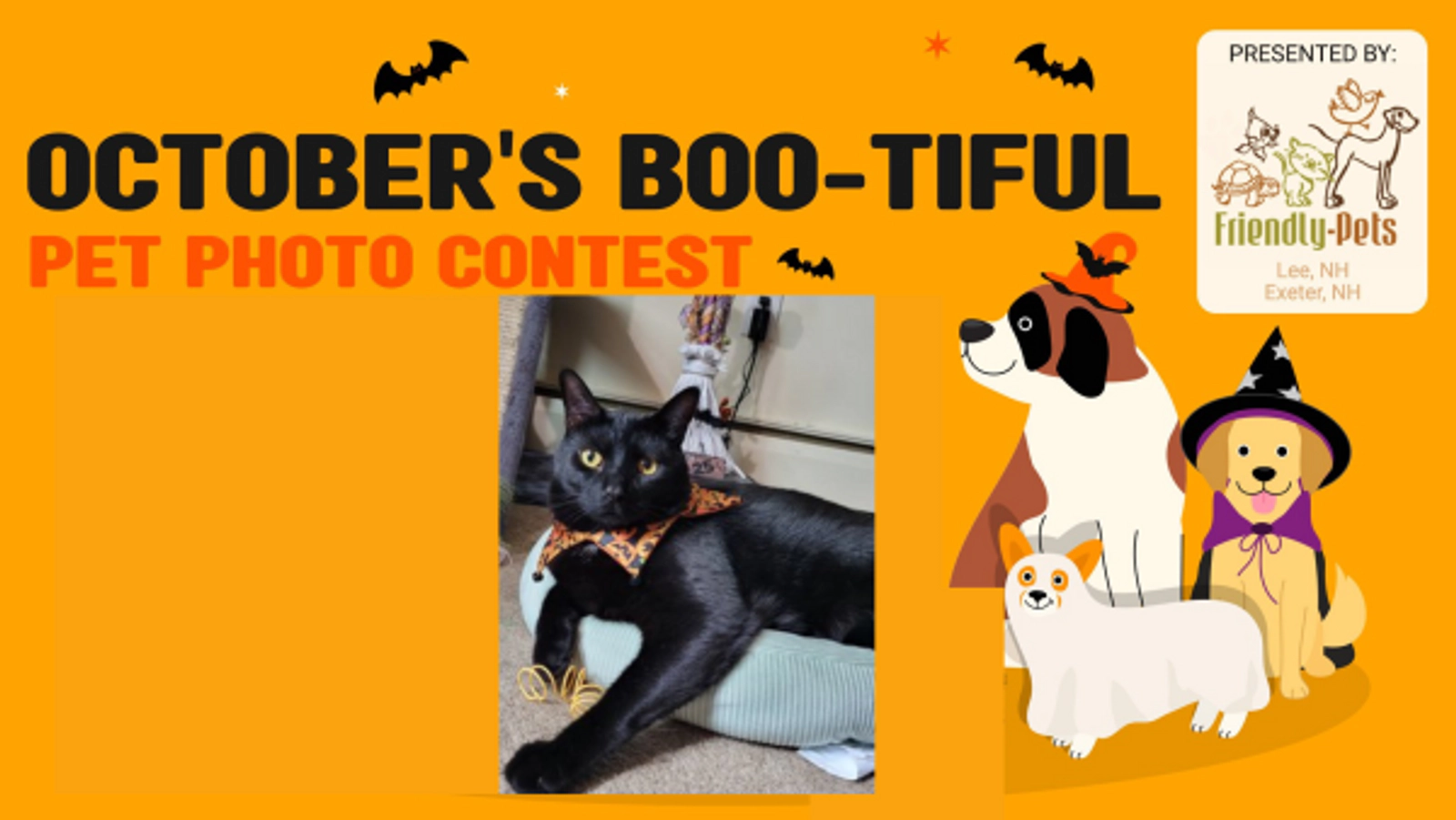 October's Boo-tiful Pet Photo Contest - Thumbnail Image