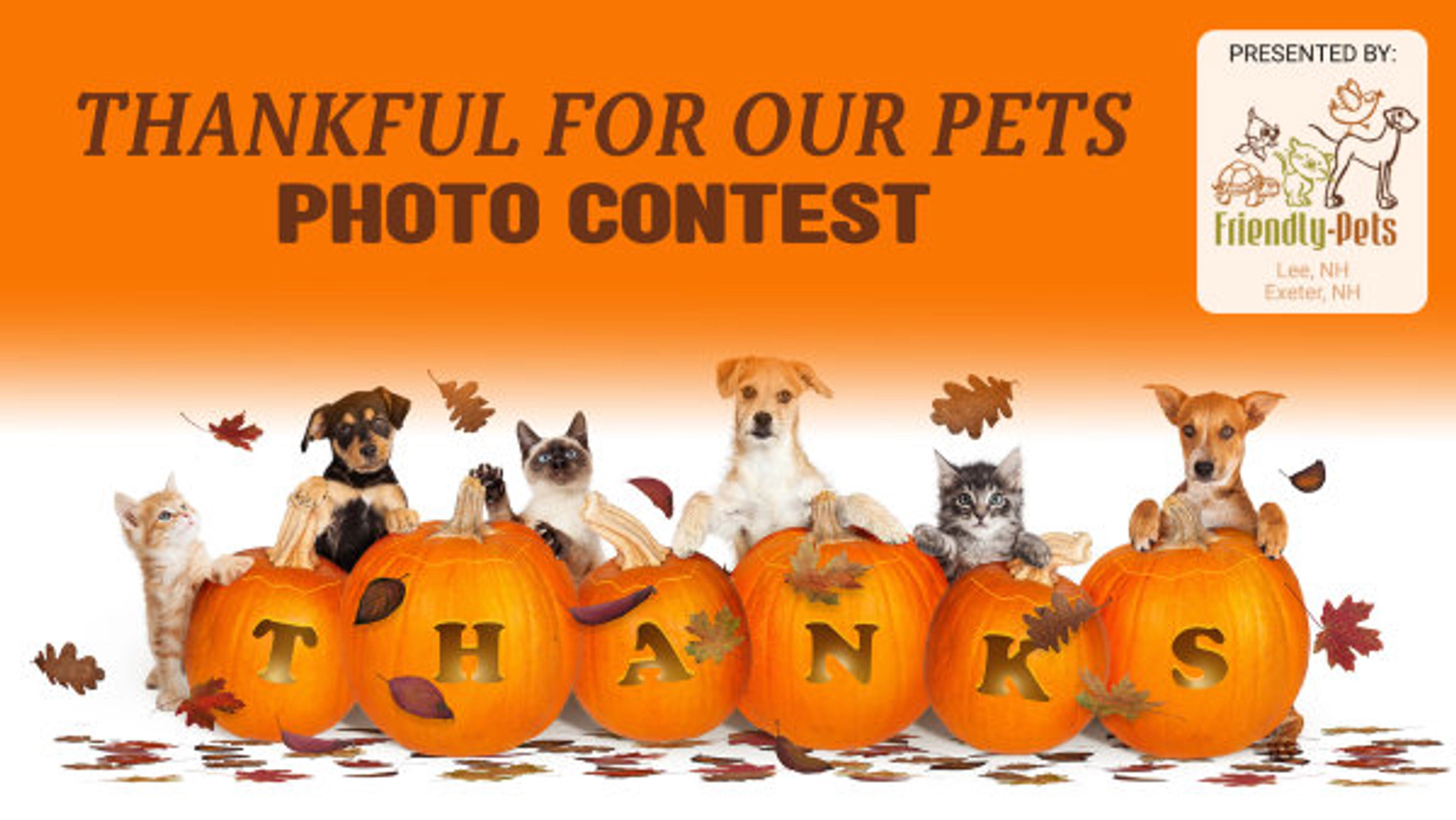 Thankful For Our Pets Photo Contest - Thumbnail Image