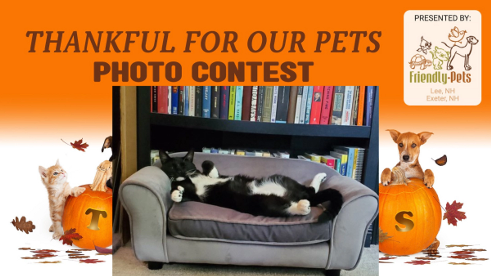 Thankful For Our Pets Photo Contest - Thumbnail Image