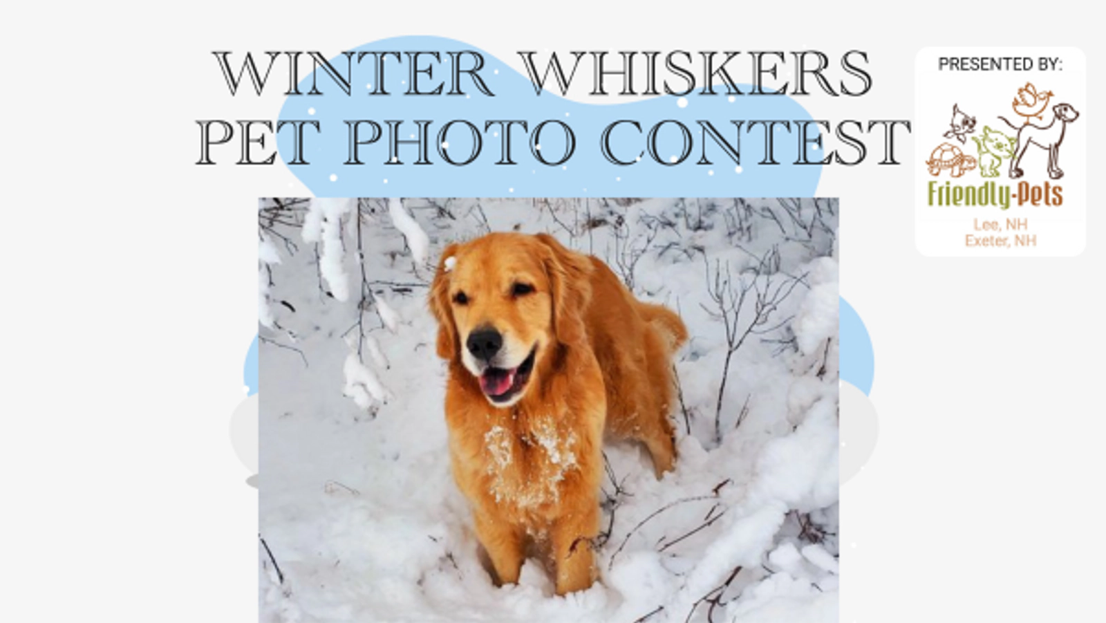 Winter Whiskers Pet Photo Contest - Thumbnail Image