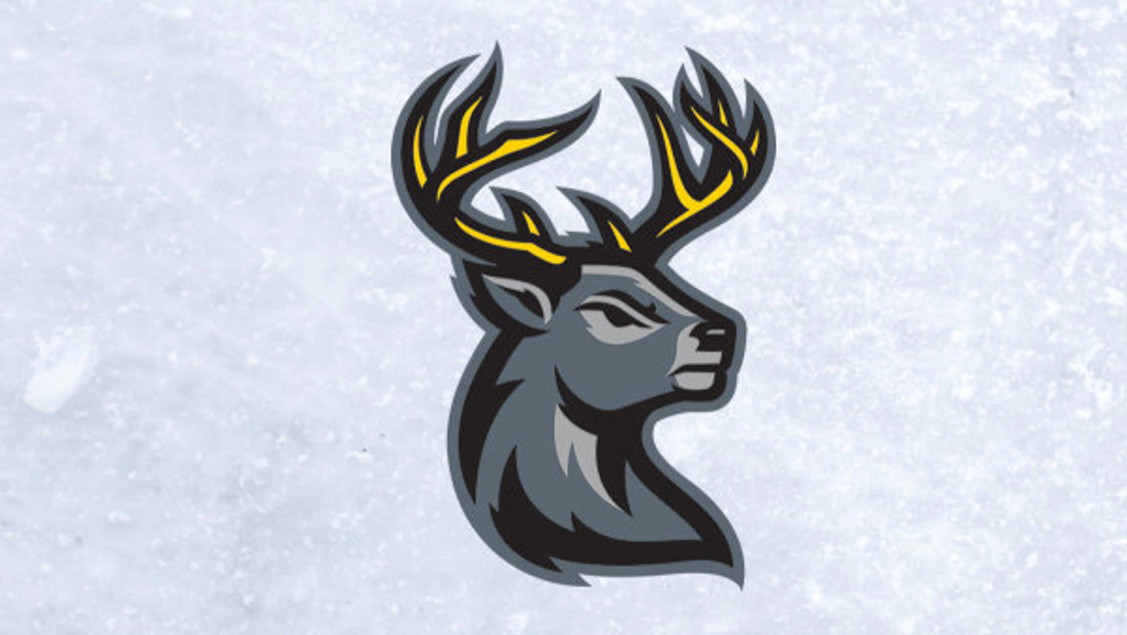 Win Tickets To An Iowa Heartlanders Game