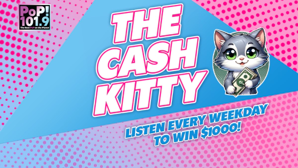 THE CASH KITTY