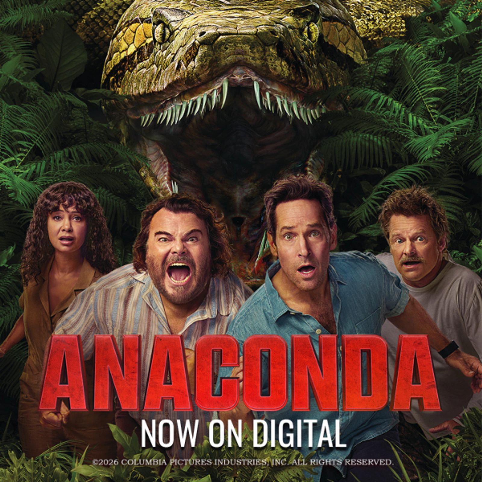 ANACONDA
