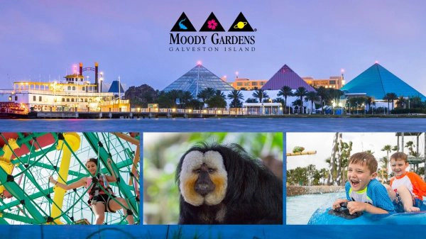 Enter to WIN a Family 4-Pack to Moody Gardens Galveston TX