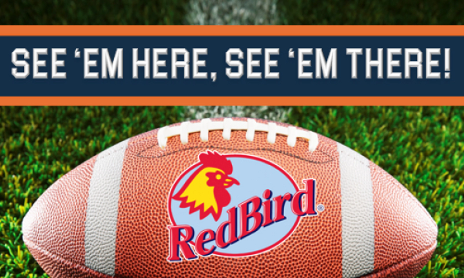 SEE 'EM HERE, SEE 'EM THERE!