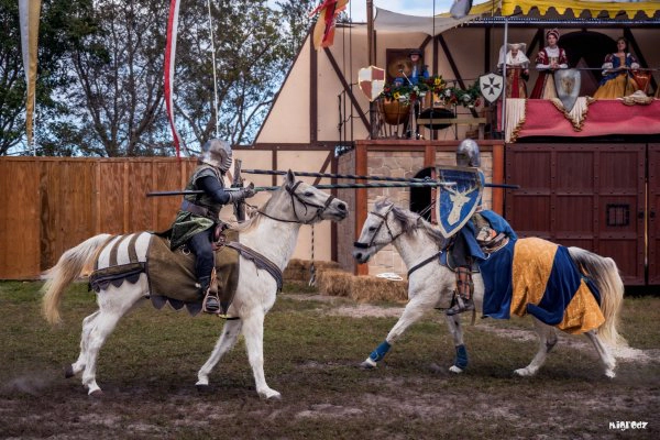 Florida Renaissance Festival