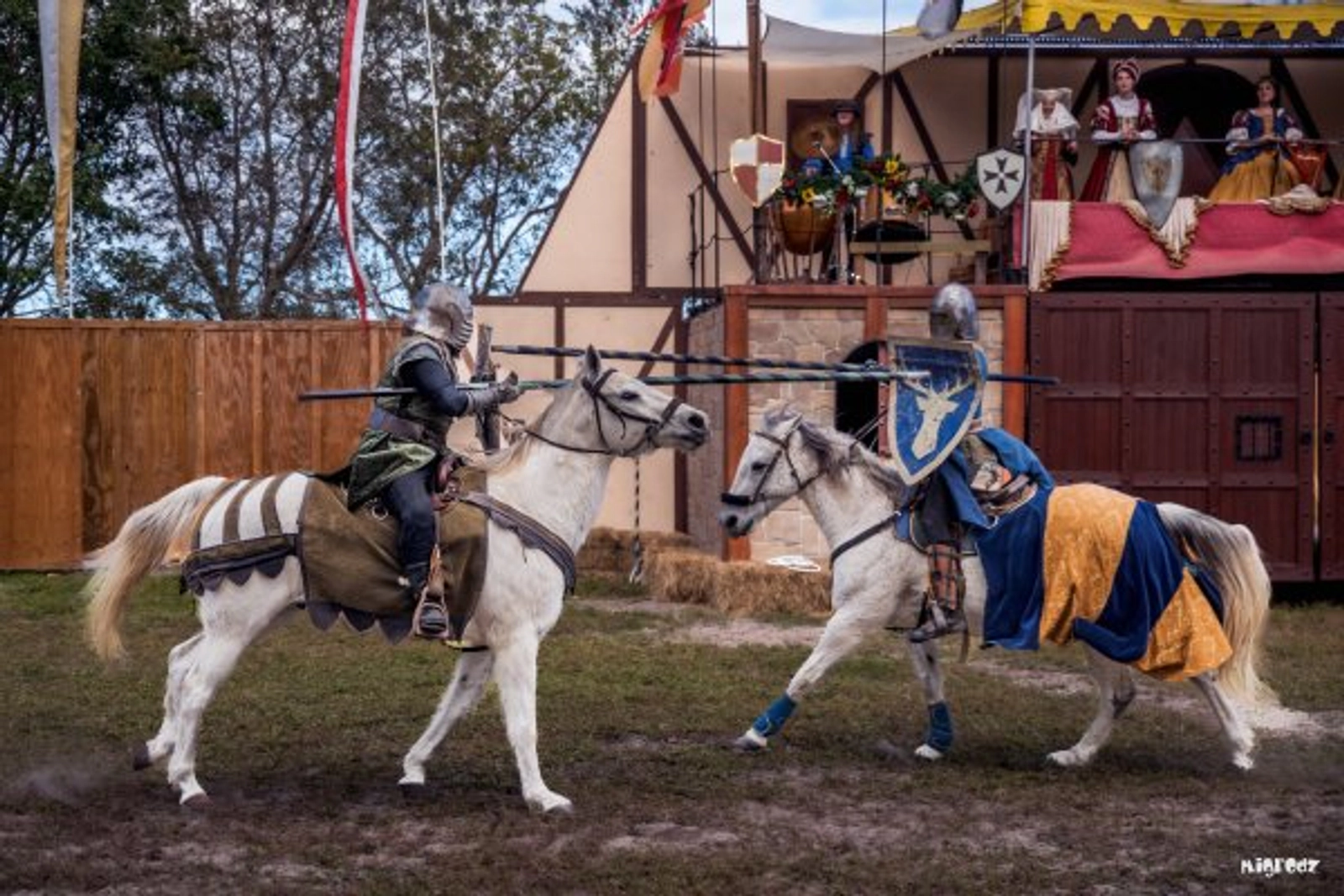 Florida Renaissance Festival