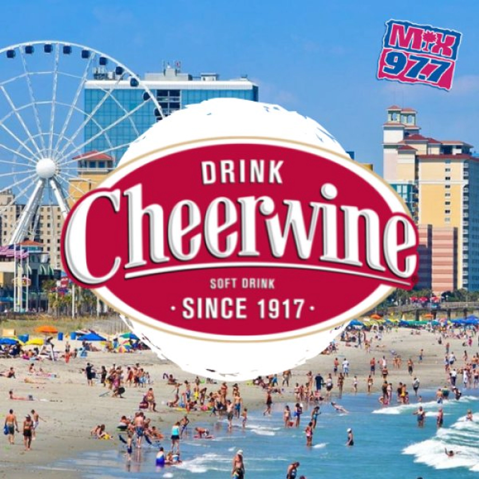 Uniquely Southern Cheerwine Summer!