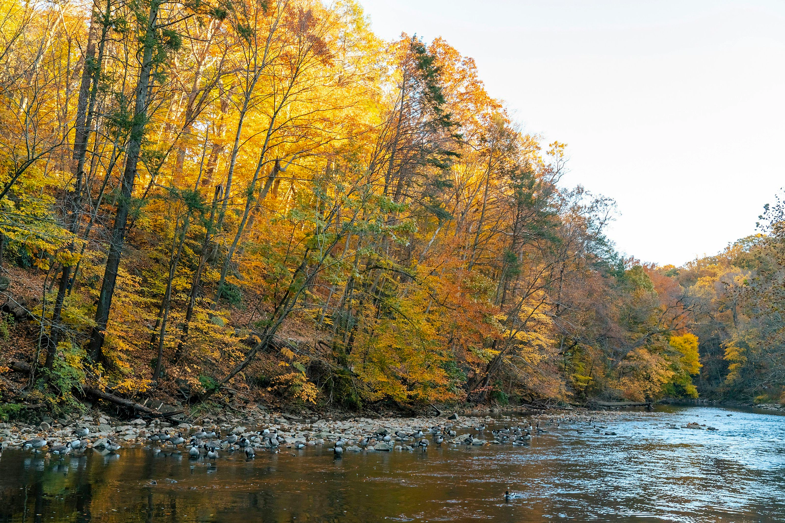 What Pennsylvania River is the BEST! - Thumbnail Image