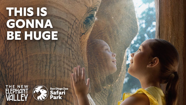 Listen To Win A 4-Pack Of Tickets For The San Diego Zoo!