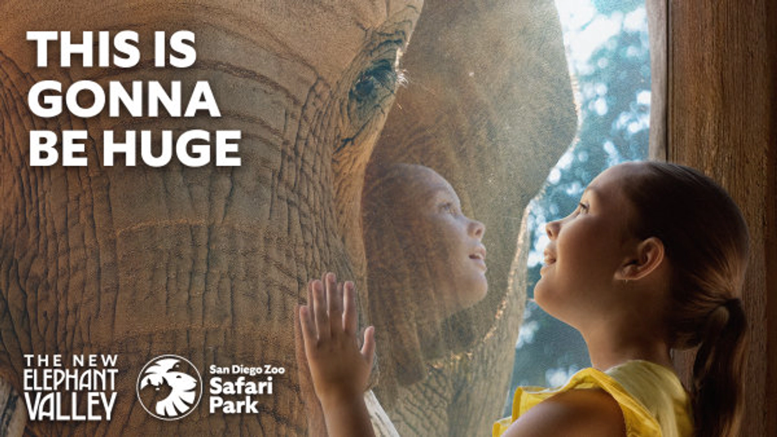 Listen To Win A 4-Pack Of Tickets For The San Diego Zoo!