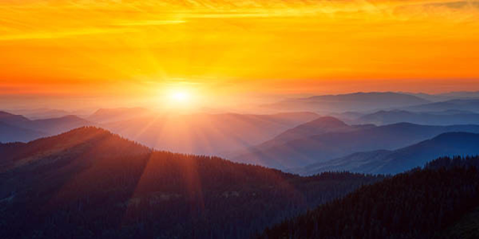 Take Our - Your Favorite Time of Day -  Mini-Survey!