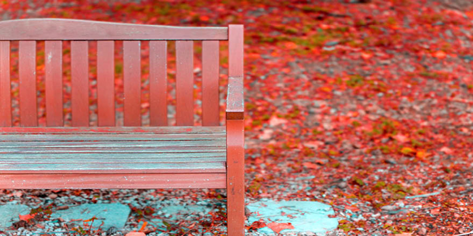 Take Our - All About November - Quiz!