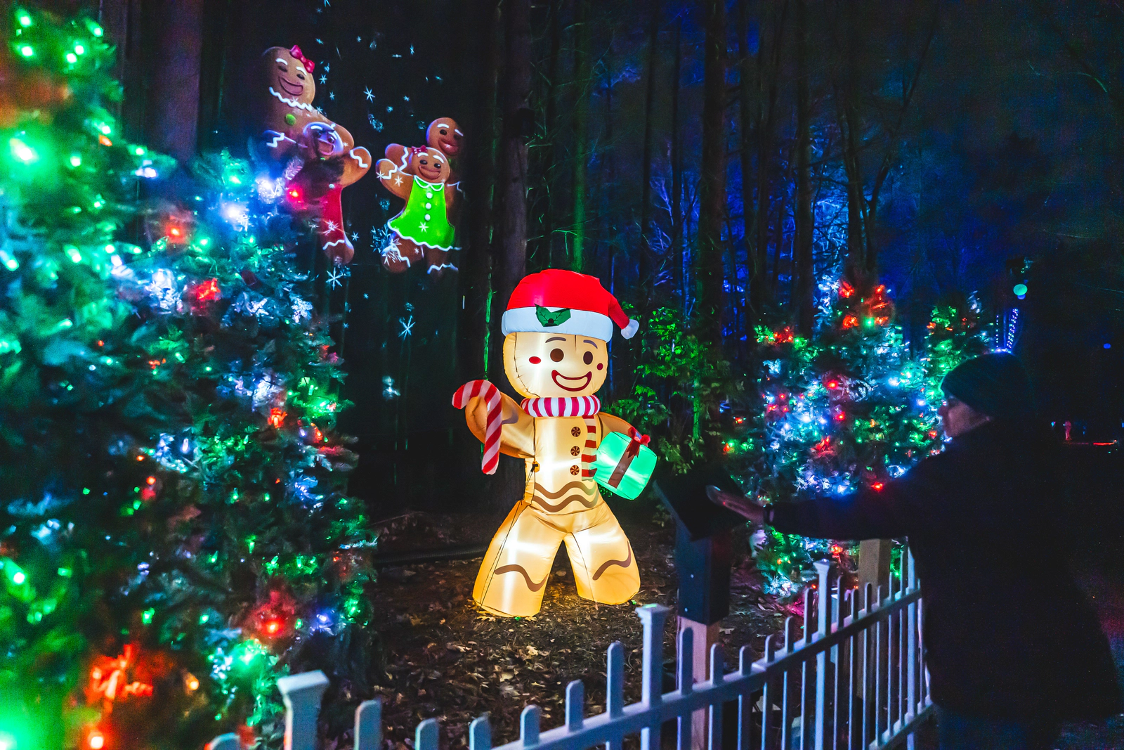 Win tickets to Glenlore Trails' winter spectacular, Aurora: Winter Wizards