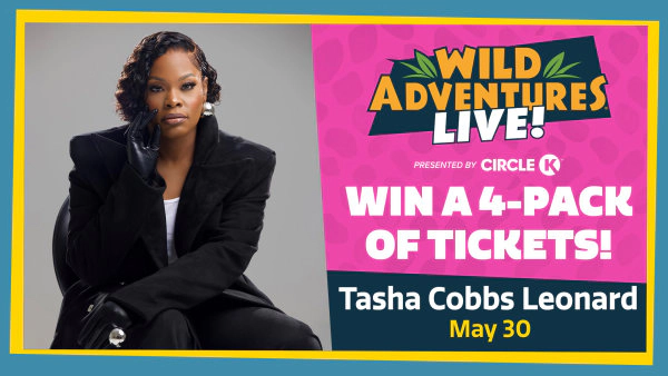 Win A 4 Pack Of Tickets To Wild Adventures Theme Park In Valdosta, GA